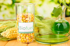 Maesycoed biofuel availability