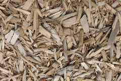 biomass boilers Maesycoed